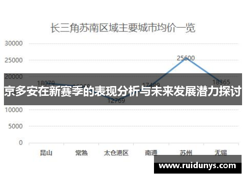 京多安在新赛季的表现分析与未来发展潜力探讨